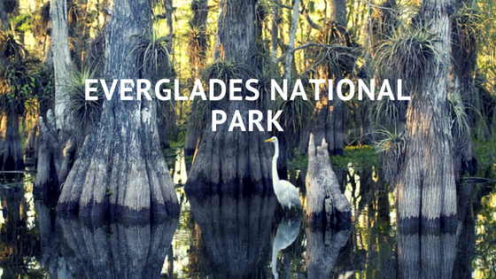 Everglades National Park.png